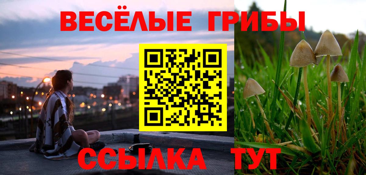 Псилоцибиновые грибы прущие грибы  Вход с VPN  Екатеринбург 