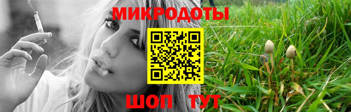 Псилоцибиновые грибы Psilocybine cubensis Екатеринбург
